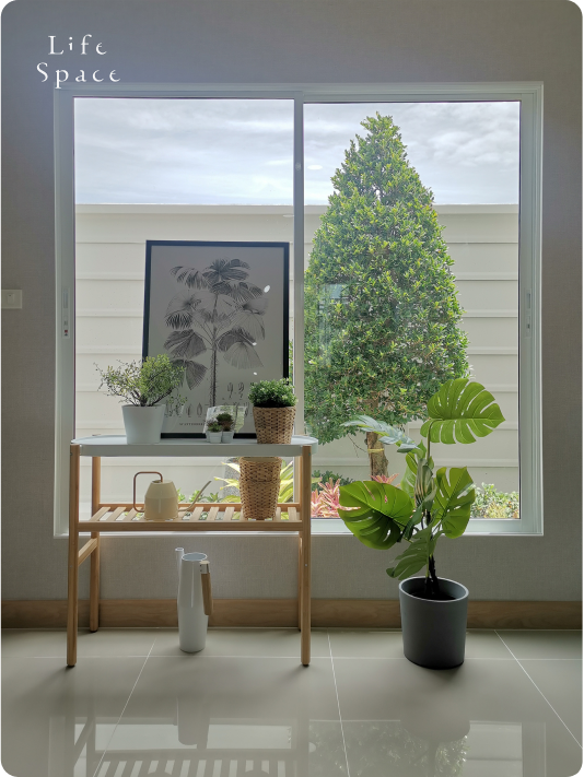 Lifespacr images