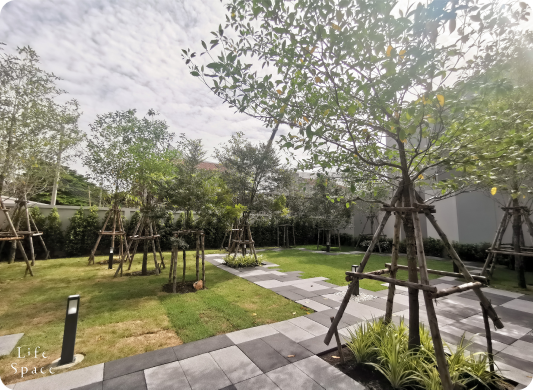 Lifespacr images